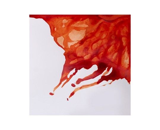 Winsor & Newton 94376896466, Brun, 14 ml, 1 stykker