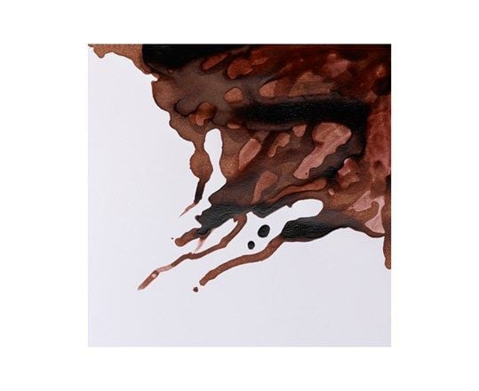 Drawing Ink 14 ml Nut Brown 441