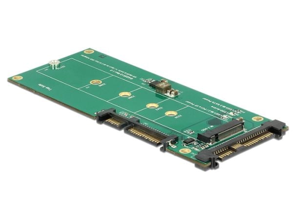 Delock - Grensesnittsadapter - M.2 - M.2 Card - SATA 6Gb/s, U.2