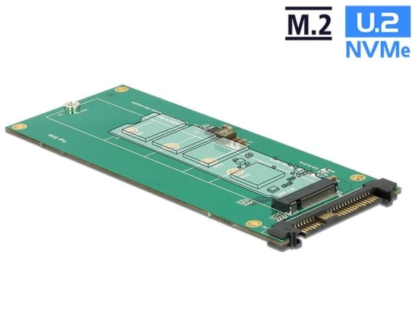 DeLOCK Converter U.2 SFF-8639 NVMe > 1 x M.2 Key M - Interfaceadapter - M.2 - M.2 Card - U.2