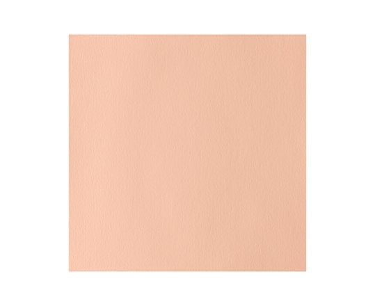 Designers Gouache 14 ml Pale Rose Blush 257