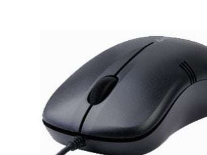 A4Tech V-Track Padless Mouse OP-560NU - Mus - optisk - 3 knapper - kablet - USB - svart