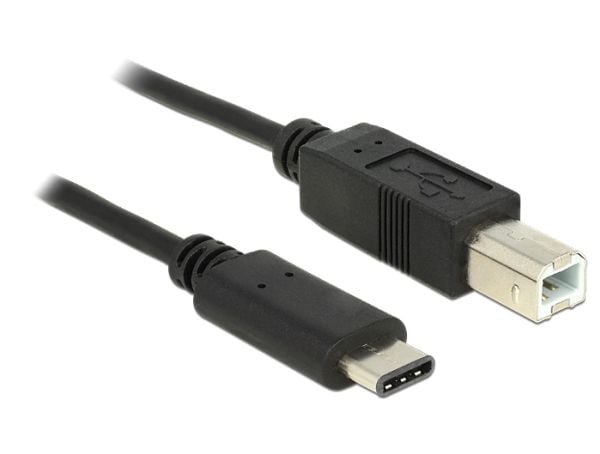 Delock - USB-kaapeli - USB-C (han) til USB Type B (han) - USB 2.0 - 3 A - 50 cm - lajiteltu