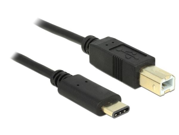 Delock - USB-kabel - USB-C (hann) til USB-type B (hann) - USB 2.0 - 3 A - 2 m - svart