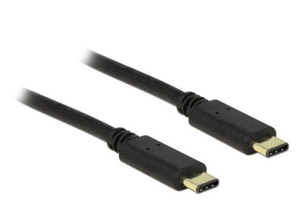Delock - USB-kabel - USB-C (hann) til USB-C (hann) - USB 2.0 - 3 A - 2 m - svart