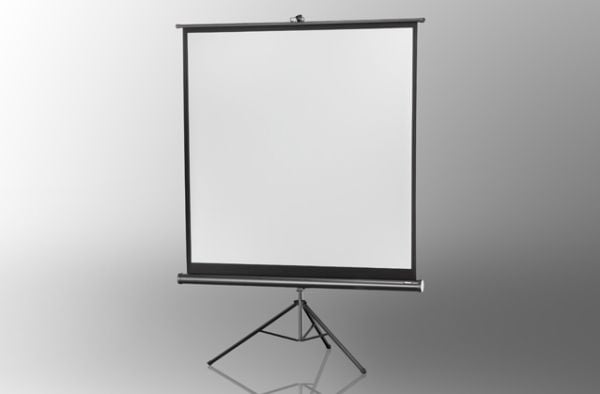 Celexon Economy tripod screen - Projeksjonsskjerm med tripod - 74" (188 cm) - 1:1