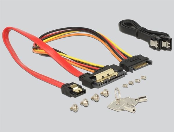 Delock - Bevegelig lagerrack - 2.5" - svart
