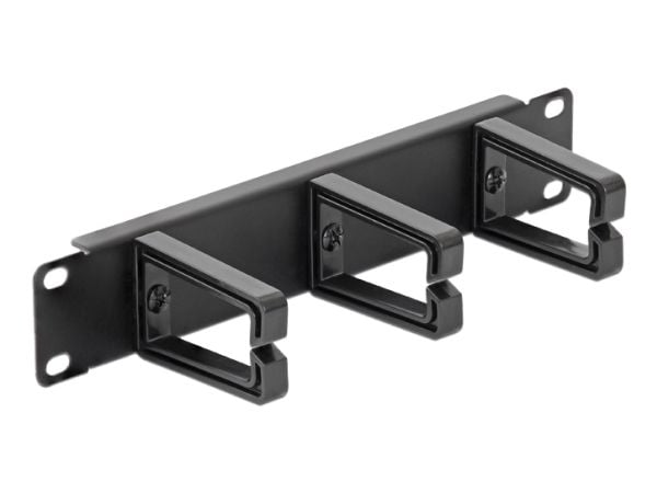 Delock - Kaapelinhallintapaneeli - 25,4 cm - mattamusta, RAL 9005 - 1U - 10"