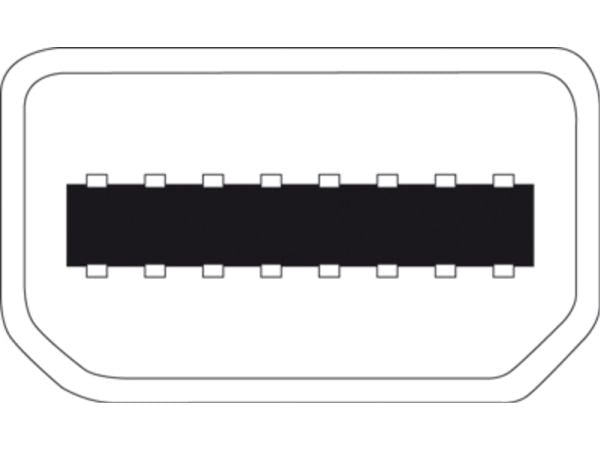 DIGITUS - DisplayPort-adapter - Mini DisplayPort (hann) til HD-15 (VGA) (hunn) - 15 cm - formstøpt - hvit