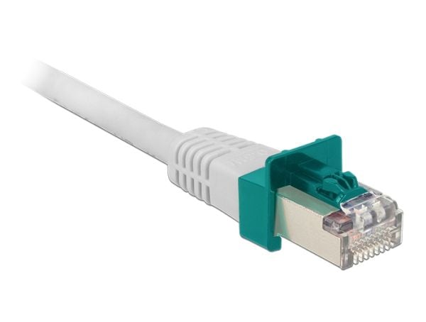 DeLOCK Secure Clip Starter Set - LAN-kaapelin turvalukkosarja