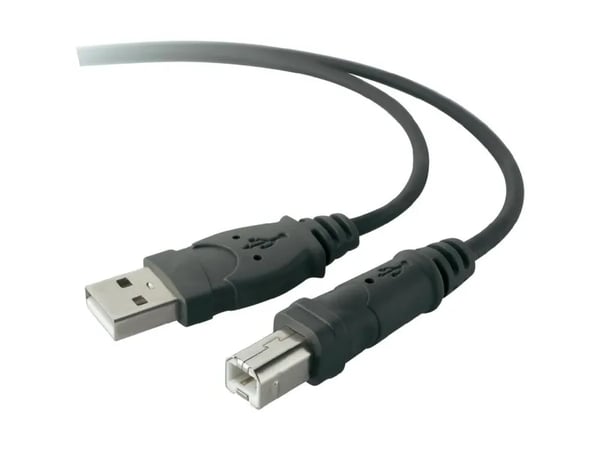 Belkin Premium Printer Cable - USB-kaapeli - USB Type B (han) til USB (han) - USB 2.0 - 4,8 m - formet