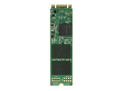 Transcend MTS800 - SSD-levy - 64 GB - sisäinen - M.2 2280 - SATA 6Gb/s