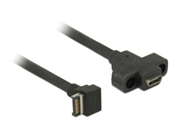 Delock - Intern-til-ekstern USB-kabel - 20-pins USB 3.0-plugg (hann) vinklet til USB-C (hunn) panelmonterbar - 45 cm