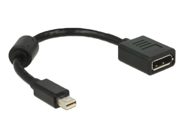 Delock - DisplayPort-adapter - DisplayPort (hunn) til Mini DisplayPort (hann) - 21 cm - svart