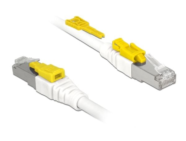 DeLOCK Secure - Koppeledning - RJ-45 (hann) til RJ-45 (hann) - 3 m - STP - CAT 6a - halogenfri - hvit