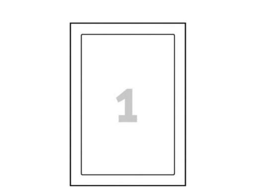 Avery - Polyester - adhesiv - hvit, glanset - 170 x 257 mm 10 etikett(er) (10 ark x 1) merkelapper