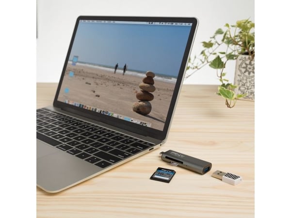 PNY - Kortleser - 3-i-1 (SD, microSD, SDHC, microSDHC, SDXC, microSDXC) - USB-C