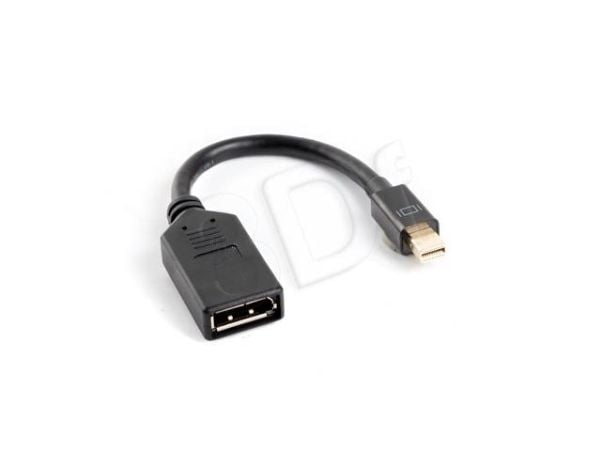 Lanberg - DisplayPort-adapter - Mini DisplayPort hann til DisplayPort hunn - 12 cm