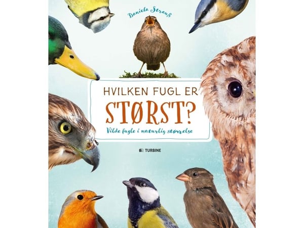 Hvilken fugl er størst? | Daniella Strauss | Språk: Dansk