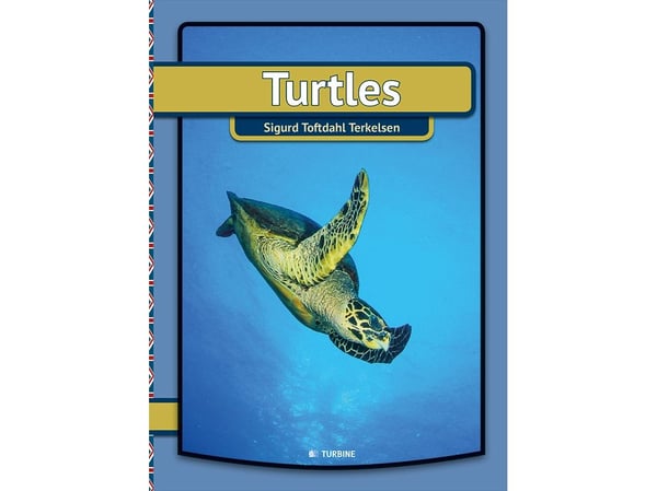 Turtles | Sigurd Toftdahl Terkelsen | Språk: Engelsk