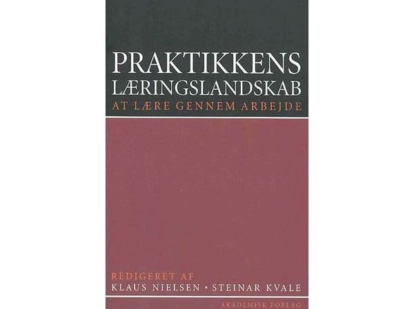Praksisens læringslandskap | Steinar Kvale, Klaus Nielsen | Språk: Dansk