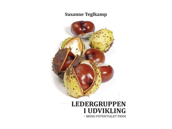 Ledergruppen i utvikling | Susanne Teglkamp | Språk: Dansk