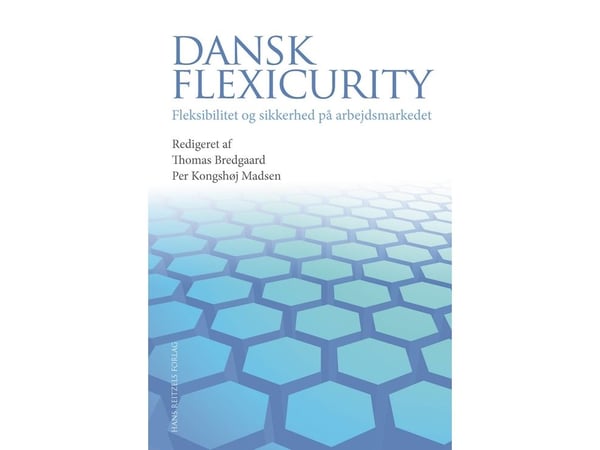 Tanskan joustoturva | Søren Kaj Andersen;Torben M. Andersen;Anette Borchorst;Thomas Bredgaard;Michael Friis Larsen;Jon Lystlund Halkjær;Mads Peter ...