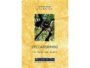 Stillaser – en pedagogisk metafor | Tove Klausen; Mariane Hedegaard; Helle Alrø; Jens Rasmussen; Klaus Nielsen; Christian Jantzen; Jan Tønnes Hanse...