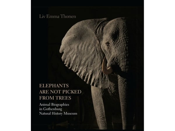 "Elephants are not picked from trees" | Liv Emma Thorsen | Språk: Engelsk