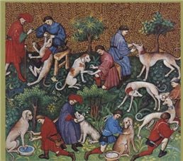 Hunden i historien | Rikke Agnete Olsen | Språk: Dansk
