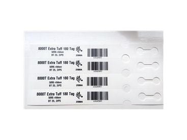 Zebra 8000T Extra Tuff 180 Tag, Valkoinen, Paperi, Lämpösiirto, Irroitettava, Suorakulmio, 2,5 cm