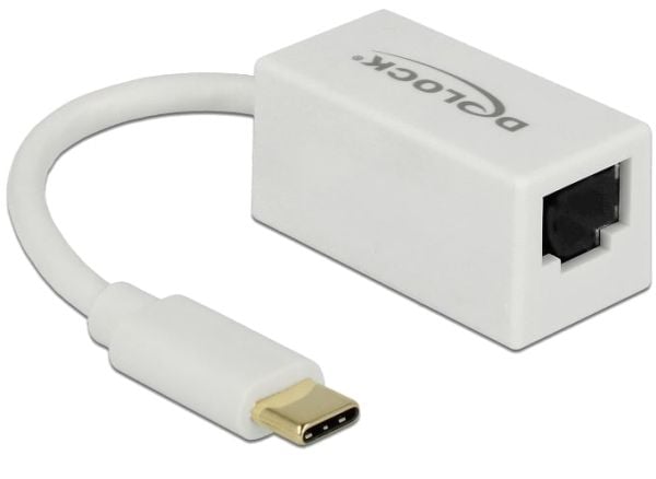 Delock - Nettverksadapter - USB 3.1 Gen 1 - Gigabit Ethernet x 1 - hvit