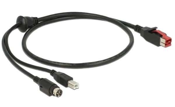 Delock - Vahvistettu USB-kaapeli - USB PlusPower (24 V) (uros) - USB Type B, Power mini-DIN (uros) - 24 V - 1 m - mustaa - musta