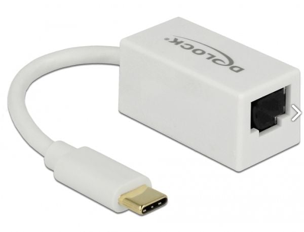 Delock - Nettverksadapter - USB 3.1 Gen 1 - Gigabit Ethernet x 1 - hvit
