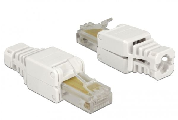Delock - Nettverkkontakt - RJ-45 (hann) - UTP - CAT 5e - (antall per pakke: 2)