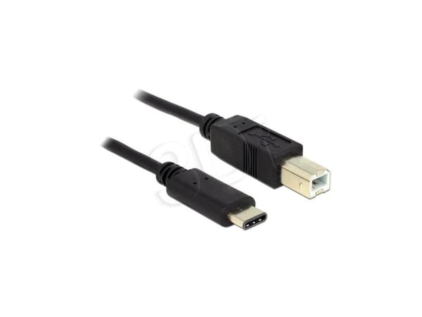 Delock - USB-kabel - USB-C (hann) til USB-type B (hann) - USB 2.0 - 3 A - 2 m - svart