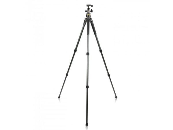 Vanguard Alta Pro 2+ 263AB100 - Stativ - med Vanguard Alta BH 100