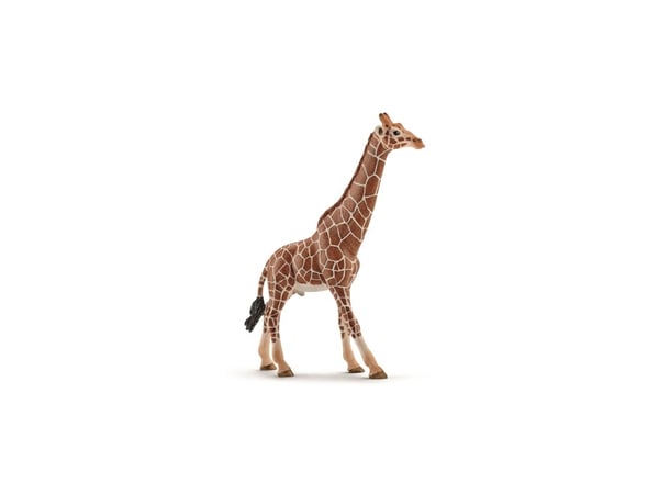 Schleich Wild Life - Giraffe Bull