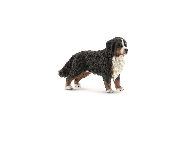 Schleich Farm Life - Berner Sennenhund