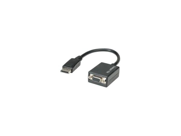 TECHly - DisplayPort-adapter - DisplayPort (hann) til HD-15 (VGA) (hunn)