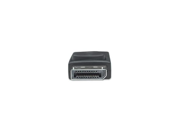 TECHly - DisplayPort-adapter - DisplayPort (hann) til HD-15 (VGA) (hunn)
