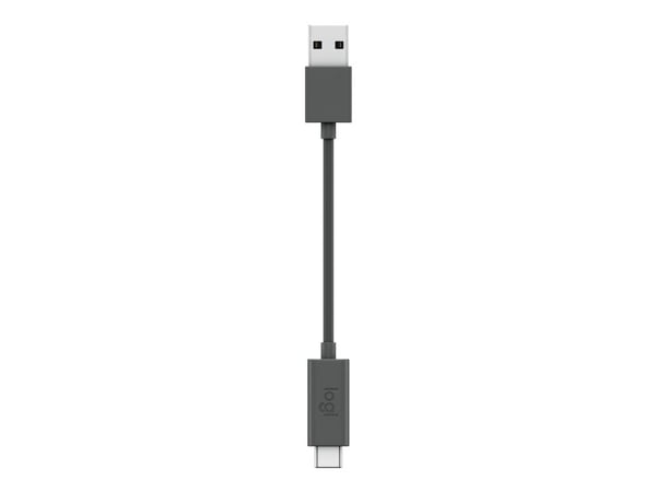 Logitech Spotlight Plus - Presentationsfjärrkontroll - 3 knappar - skiffer
