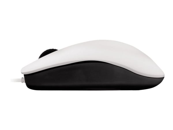 CHERRY MC 1000, Molempikätinen, Optinen, USB A-tyyppi, 1200 DPI, Harmaa