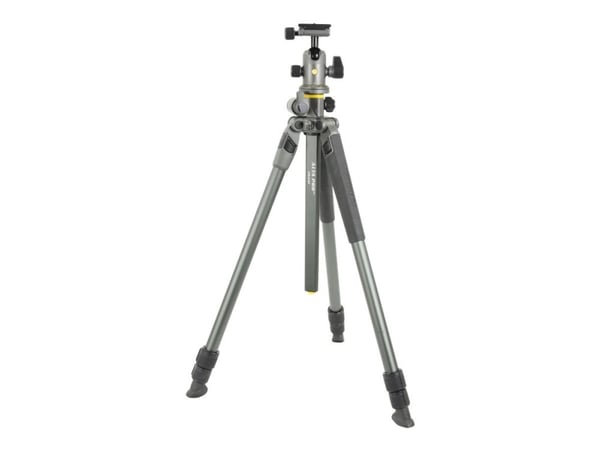 Vanguard Alta Pro 2+ 263AB100 - Stativ - med Vanguard Alta BH 100