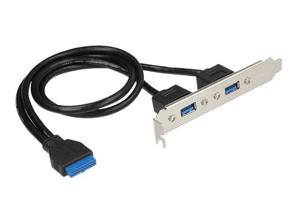 Delock Slot bracket - USB-panel - USB-type A (hunn) til 19-pins USB 3.0-plugg (hunn) - for Delock Converter M.2