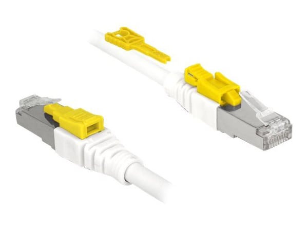DeLOCK 85331, 1 m, Cat6a, S/FTP (S-STP), RJ-45, RJ-45, Valkoinen