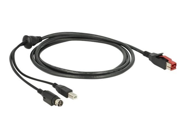 Delock - Strømforsynt USB-kabel - USB PlusPower (24 V) (hann) til USB-type B, Power mini-DIN (hann) - 24 V - 2 m - svart