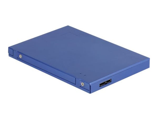 DeLOCK - Lagringspakke - M.2-kort / mSATA - USB 3.1 (Gen 2)