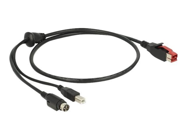 Delock - Strømforsynt USB-kabel - USB PlusPower (24 V) (hann) til USB-type B, Power mini-DIN (hann) - 24 V - 1 m - svart