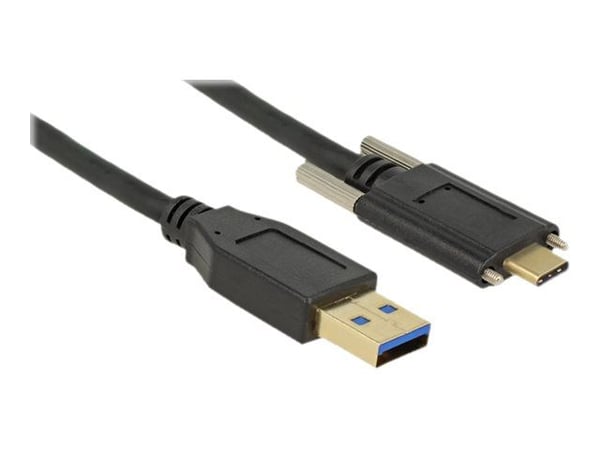 Delock - USB-kaapeli - USB Type A (han) til USB-C (han) - USB 3.1 Gen 2 - 3 A - 1 m - tommelskruer - sort